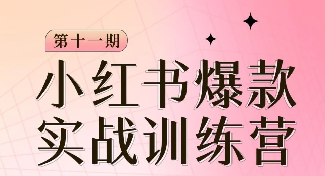 小红书博主爆款训练营第11期，手把手教你从0-1做小红书，从定位到起号到变现- 副业 - 兼职-冷颜学社