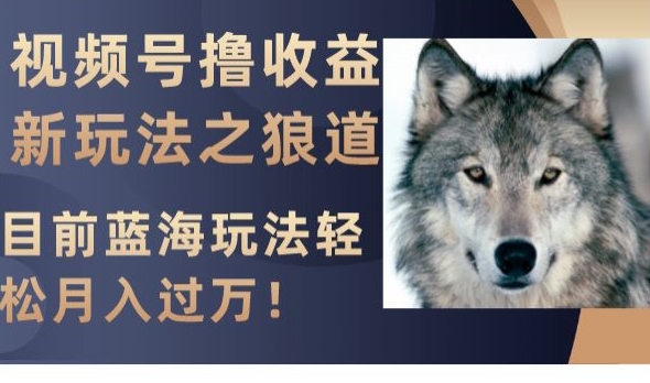 视频号撸收益新玩法之狼道，目前蓝海玩法，轻松月入过万【揭秘】- 副业 - 兼职-冷颜学社