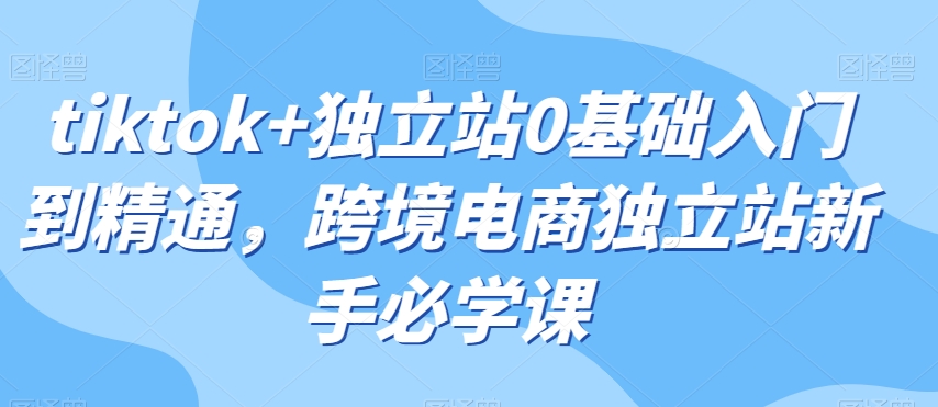 tiktok+独立站0基础入门到精通，跨境电商独立站新手必学课- 副业 - 兼职-冷颜学社