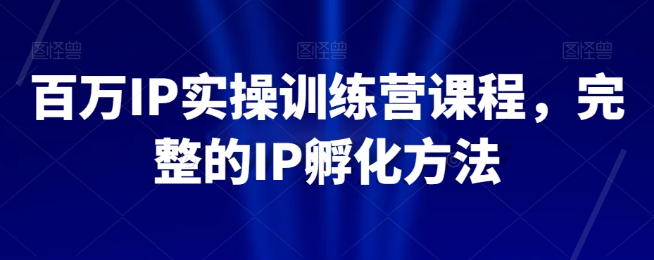 百万IP实操训练营课程，完整的IP孵化方法- 副业 - 兼职-冷颜学社