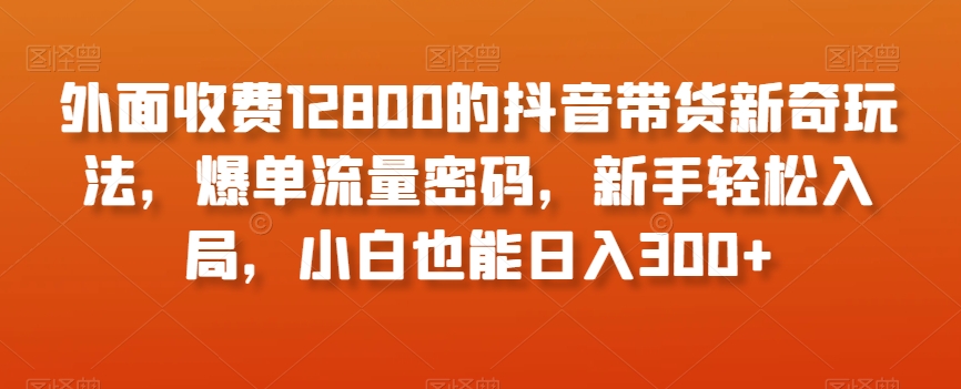 外面收费12800的抖音带货新奇玩法，爆单流量密码，新手轻松入局，小白也能日入300+【揭秘】- 副业 - 兼职-冷颜学社