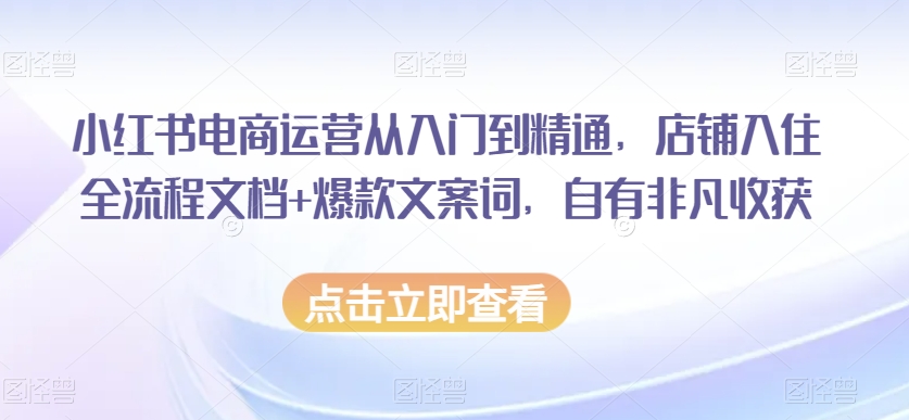 小红书电商运营从入门到精通，店铺入住全流程文档+爆款文案词，自有非凡收获- 副业 - 兼职-冷颜学社