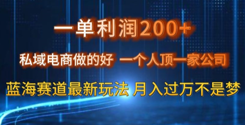 一单利润200私域电商做的好，一个人顶一家公司蓝海赛道最新玩法【揭秘】- 副业 - 兼职-冷颜学社