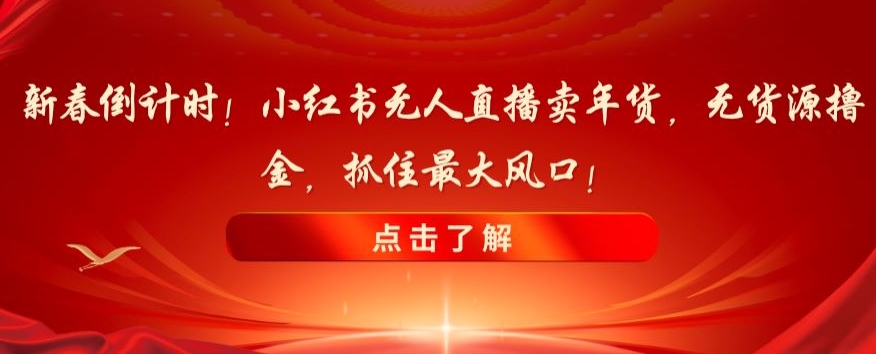 新春倒计时！小红书无人直播卖年货，无货源撸金，抓住最大风口【揭秘】- 副业 - 兼职-冷颜学社