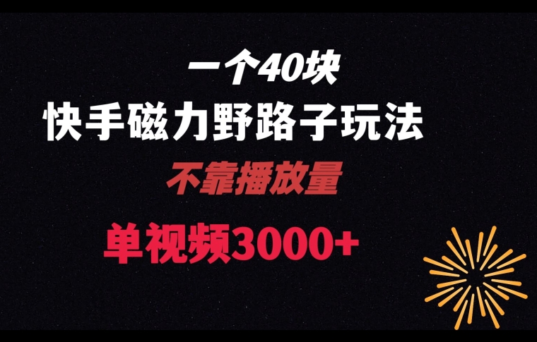 一个40块，快手联合美团磁力新玩法，无视机制野路子玩法，单视频收益4位数【揭秘】- 副业 - 兼职-冷颜学社
