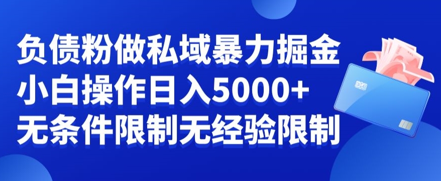 负债粉私域暴力掘金，小白操作入5000，无经验限制，无条件限制【揭秘】- 副业 - 兼职-冷颜学社