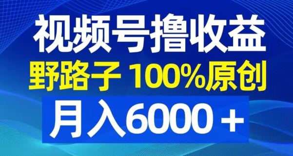 视频号野路子撸收益，100%原创，条条爆款，月入6000＋【揭秘】- 副业 - 兼职-冷颜学社