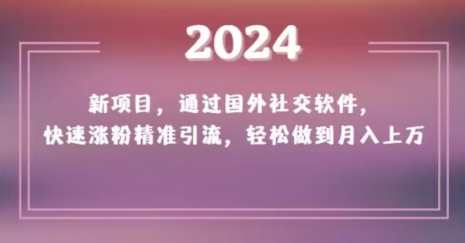2024新项目，通过国外社交软件，快速涨粉精准引流，轻松做到月入上万【揭秘】- 副业 - 兼职-冷颜学社