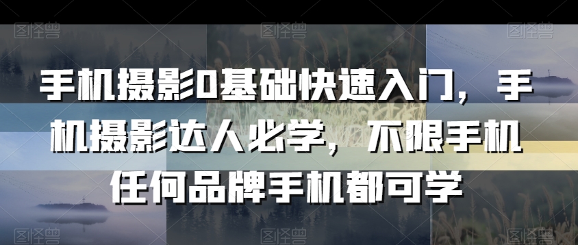 手机摄影0基础快速入门，手机摄影达人必学，不限手机任何品牌手机都可学- 副业 - 兼职-冷颜学社