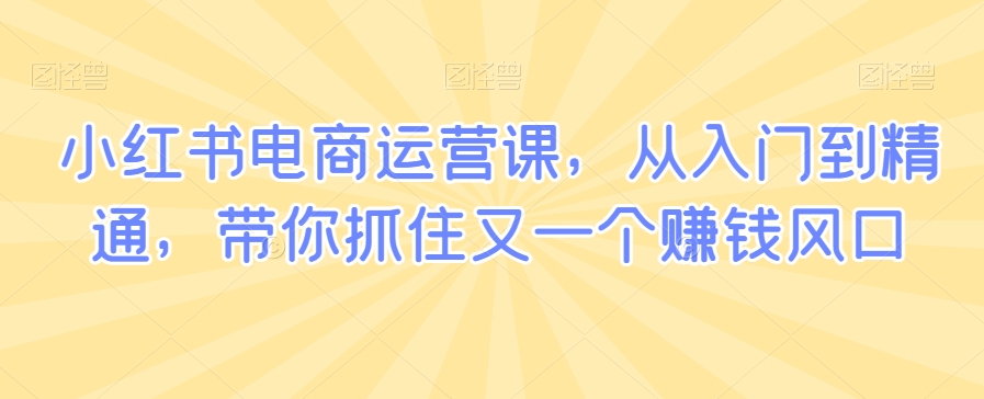小红书电商运营课，从入门到精通，带你抓住又一个赚钱风口- 副业 - 兼职-冷颜学社