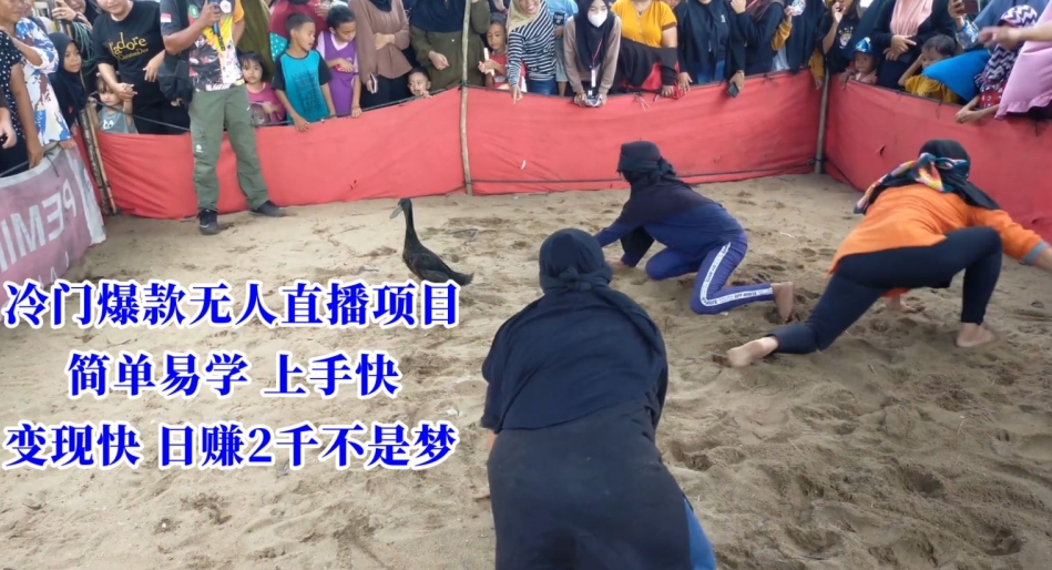 冷门爆款无人直播项目，简单易学上手快，变现快日赚2千不是梦【揭秘】- 副业 - 兼职-冷颜学社