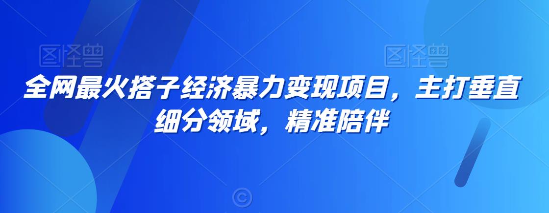 全网最火搭子经济暴力变现项目，主打垂直细分领域，精准陪伴【揭秘】- 副业 - 兼职-冷颜学社