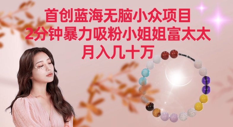 首创蓝海无脑小众项目，2分钟暴力吸粉小姐姐富太太，月入几十万【揭秘】- 副业 - 兼职-冷颜学社