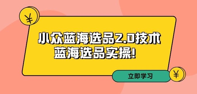 拼多多培训第33期：小众蓝海选品2.0技术-蓝海选品实操！- 副业 - 兼职-冷颜学社