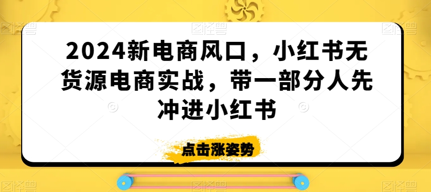 2024新电商风口，小红书无货源电商实战，带一部分人先冲进小红书- 副业 - 兼职-冷颜学社