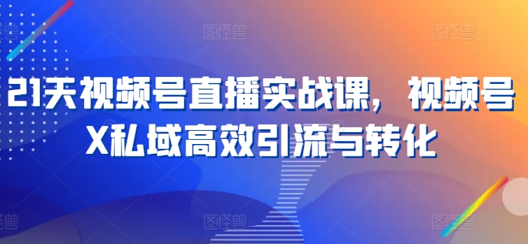 21天视频号直播实战课，视频号X私域高效引流与转化- 副业 - 兼职-冷颜学社