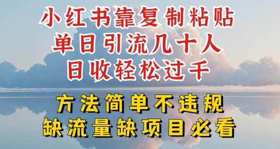 小红书靠复制粘贴单日引流几十人目收轻松过千，方法简单不违规【揭秘】- 副业 - 兼职-冷颜学社