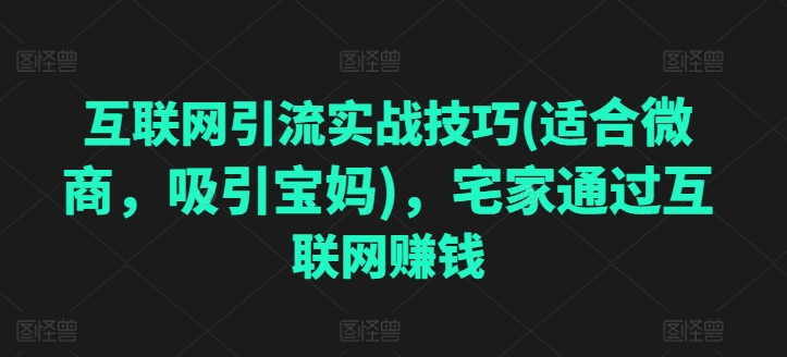 互联网引流实战技巧(适合微商，吸引宝妈)，宅家通过互联网赚钱- 副业 - 兼职-冷颜学社