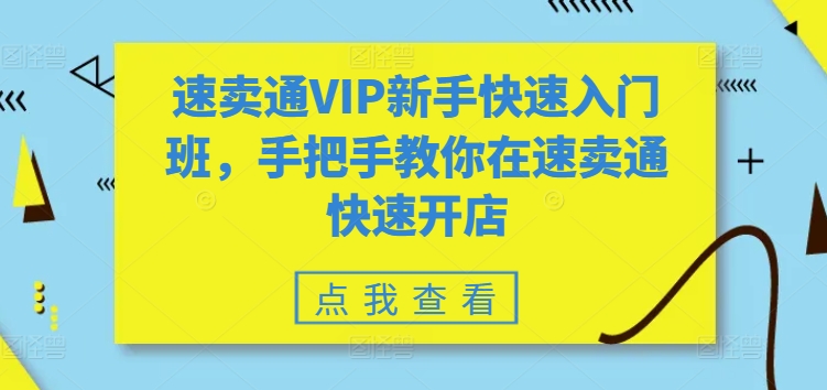 速卖通VIP新手快速入门班，手把手教你在速卖通快速开店- 副业 - 兼职-冷颜学社