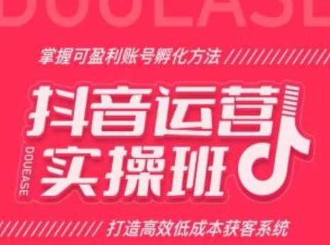 抖音运营实操班，掌握可盈利账号孵化方法，打造高效低成本获客系统- 副业 - 兼职-冷颜学社