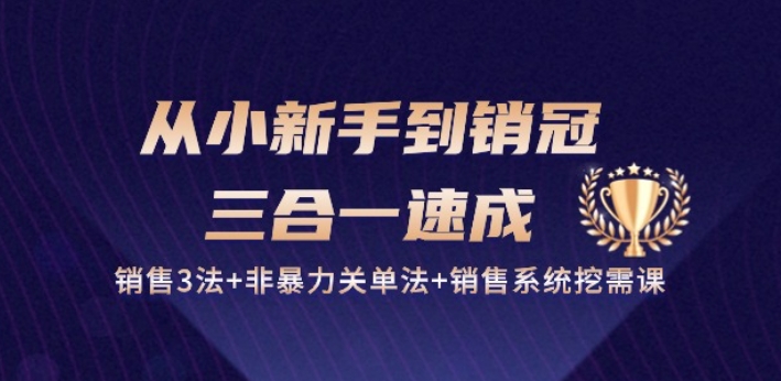 从小新手到销冠 三合一速成：销售3法+非暴力关单法+销售系统挖需课 (27节)- 副业 - 兼职-冷颜学社